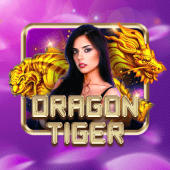 Dragon Tiger jili333 ai apk